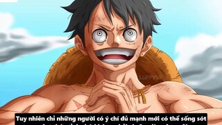 Cách Để Thức Tỉnh Trái Ác Quỷ_Tiềm Năng Sức Mạnh Giúp Luffy Đánh Bại Kaido _ 5