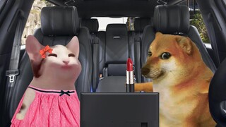 สามีคุณดีกับคุณไหม