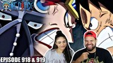 KAIDOS COMMANDERS PLUS LUFFY AND KID WORKING TOGETHER! One Piece Episode 918 And 919 REACTION!!!