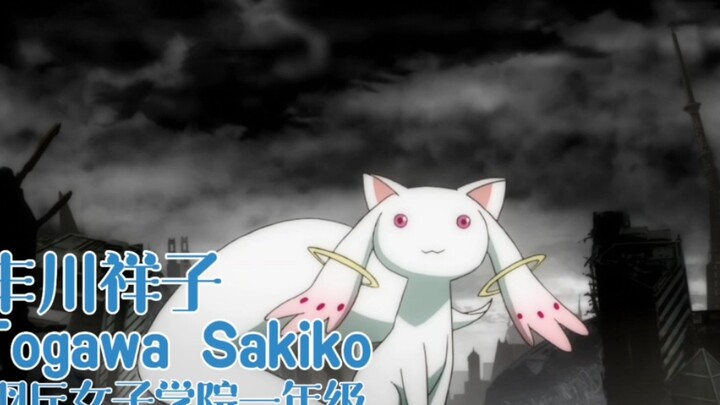เด็กหลง!!!!! PV ตัวละคร: Toyokawa Shoko