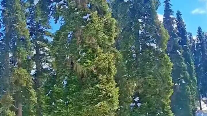 #gulmarg#gondola