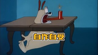 可怜的斯派克和心机狗小花的爆笑故事#童年动画 #老动画的魅力