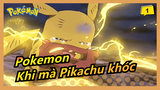 Pokemon|[Với sự đau khổ sấp sét sẽ quét bay bóng tối]Khi mà Pikachu khóc_1