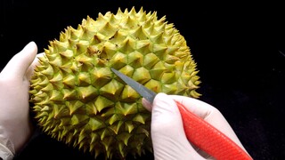 Wheel of Fortune - Which fruit to carve