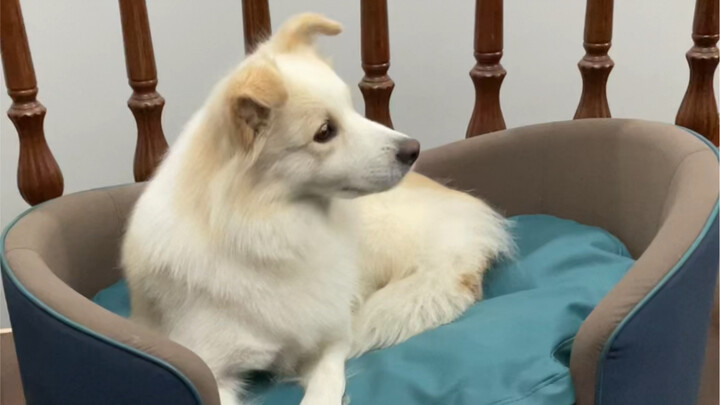 With so many cars coming and going at the entrance, I can always instantly recognize Mom’s car by it