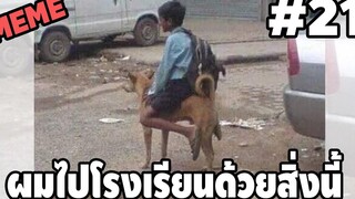 ภาพนี้ก็ฮาเหมือนกันนะเนี่ย #21 [ พากย์นรก MEME.EXE ] | easy boy