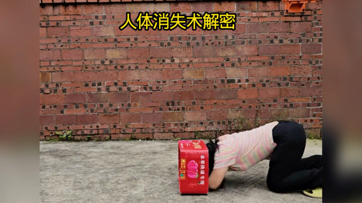 Cơ thể biến mất