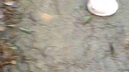 I'm so lucky today—I found a bunch of stuff!