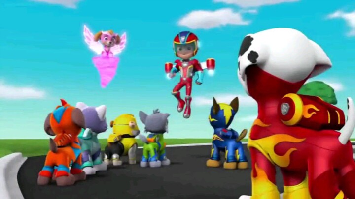 Mighty pups
