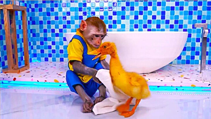 THE MONKEY  FULL MOVIE