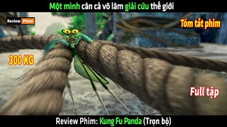 Một mình cân cả võ lâm giải cứu thế giới - tóm tắt phim Kung Fu Panda