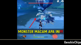 Misteri Di Balik Hidden Mission - Genshin Impact Indonesia