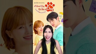 ซีรีส์ใหม่ของชาอึนอู A Good Day To Be A Dog ดูได้ที่ VIU #AGoodDayToBeADog #ซีรีส์เกาหลี #ชาอึนอู