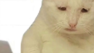 Patriotic Sentiments Triggered by the Library Alarm Clock