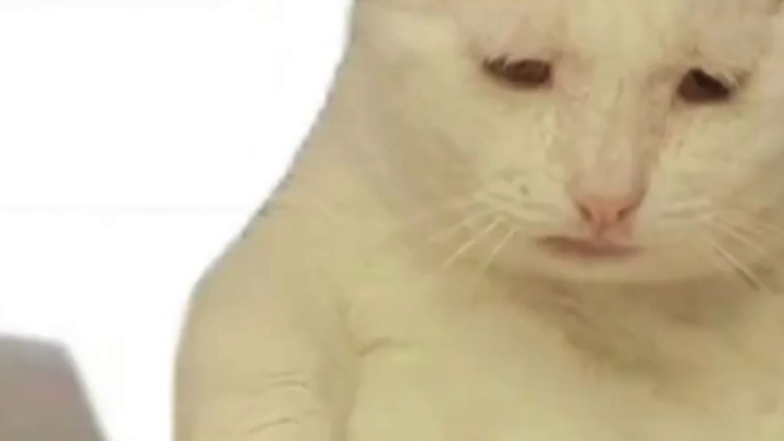 Patriotic Sentiments Triggered by the Library Alarm Clock