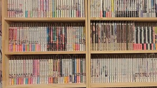 Bookcase in Lily House