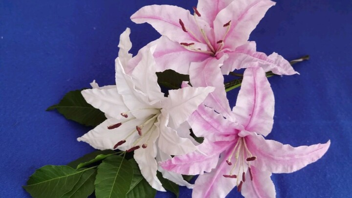 Cara membuat bunga lili dengan tisu toilet sederhana dan indah, bunganya seperti rusa dan daun bawan