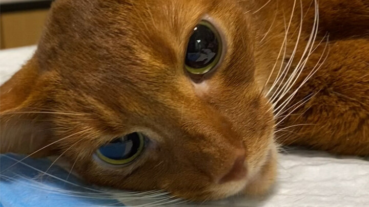 هذه قصةٌ من ماضينا مع الأخ جون إير لا يعرفها أحد…