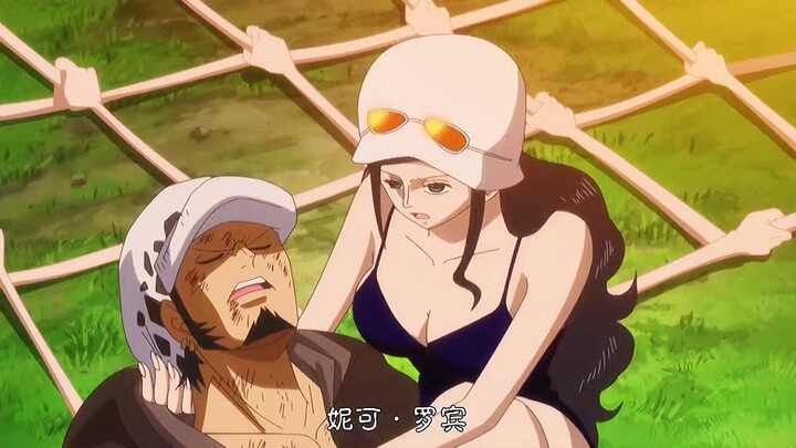 Only Robin gets Luffy’s point — cabbage