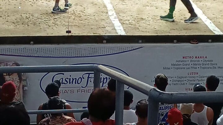 my fav.bulik proof at Manila coliseum 💪💪💪♥️