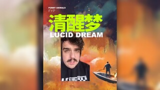 Has anyone ever consciously controlled the progression of their dreams? Or realized they were dreami