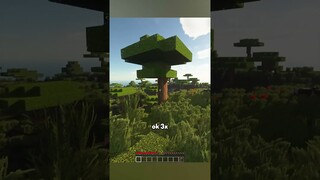 Minecraft, Tapi Setiap Kena Damage Jadi REALISTIS