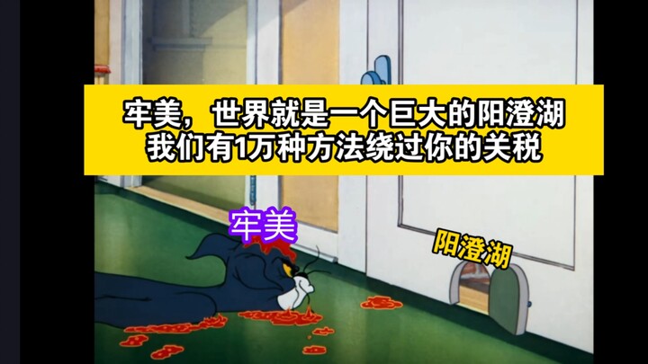【猫鼠队】小国如何对抗美国的关税战？