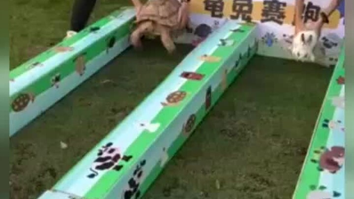 Pengungkapan Besar-besaran tentang Kehidupan Sehari-hari yang Kocak