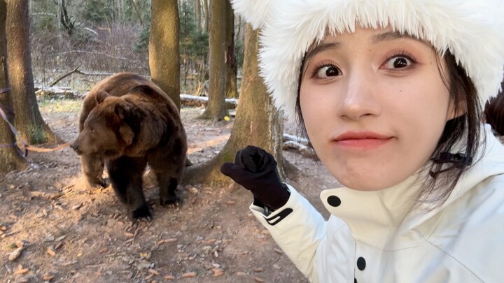 This is the Russian Bear, 4700hp, 329 armor, 201 magic resistance