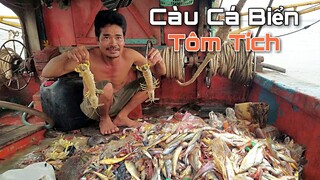 Càu Cá Biển TRÚNG ĐẬM Ổ TÔM TÍCH KHỦNG | Ngư Dân Miền Tây