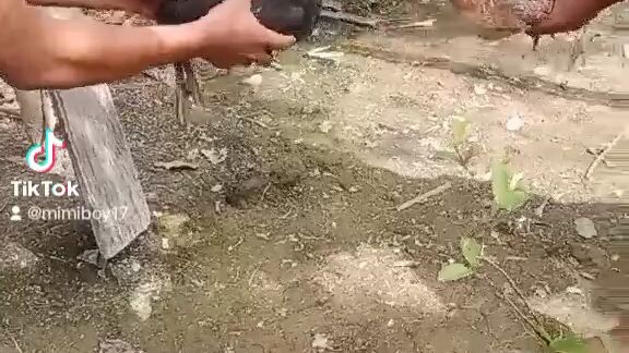 laban ni tita at ni pamangkin😂😂