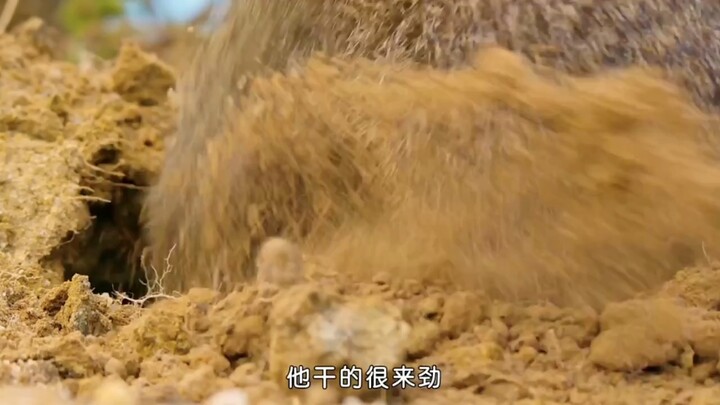 Mengabadikan momen istimewa dan berinteraksi langsung dengan satwa liar