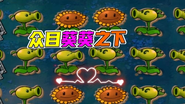 Plants vs. Zombies: Diserang dari Depan dan Belakang, Berbagai Keinginan Bersatu untuk Menyelamatkan