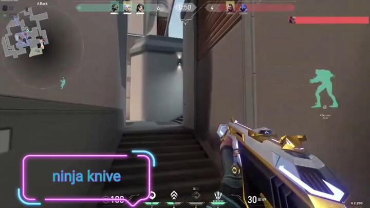 valorant ninja knive