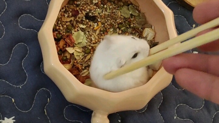 Who could resist eating such adorable little tangyuan?