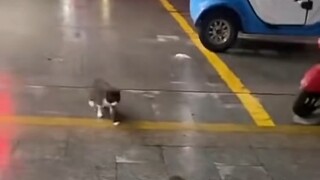 سامحني لأنني ضحكت بطريقة غير لائقة