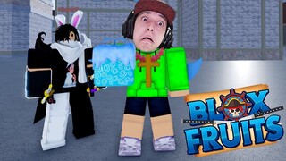 BLOX FRUITS: O PLIQUE me deu UM PRESENTE MUITO BOM! ( one piece no roblox )