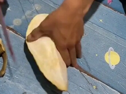 ทุเรียนไร้หนาม ไม่ต้องกลัวทุเรียนทิ่มมืออีกต่อไป