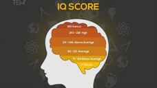 Cara meningkatkan IQ dengan cepat!