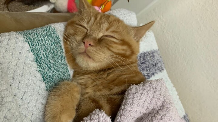 バベる!-「君には届かない。」がBBQで男磨き-「前編」