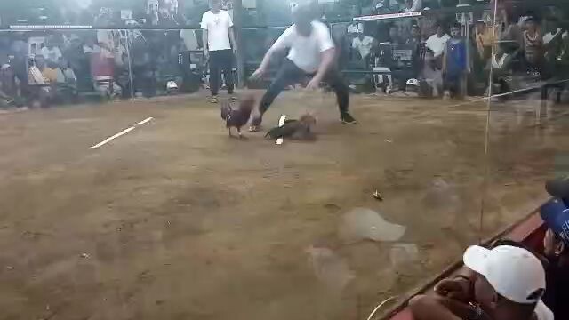 HEME's Black (melsims black)