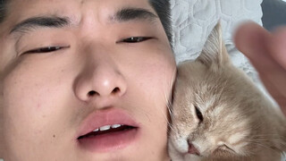 Tentang puluhan kucing jalanan yang aku pelihara (disarankan ditonton dengan kecepatan ganda, waktun