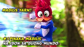 Nagkamali Sila Na Kalabanin Ang Worlds Fastest Bird Hanggang Sa Nalaman Nila Ang Kahinaan Nito RECAP