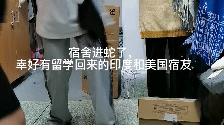 Rắn bò vào ký túc xá rồi, may mà có bạn cùng phòng người Ấn Độ và Mỹ.