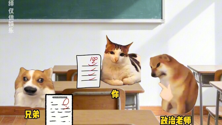 When You Scored 100 on Your Politics Exam