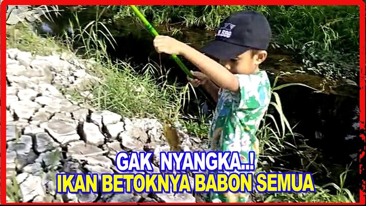 IKAN BETOK DISINI BABON SEMUA ~ ANAK KECIL MANCING IKAN BETOK