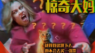 B站最沙雕方式打开【惊奇队长】选角差？这橘猫真香！