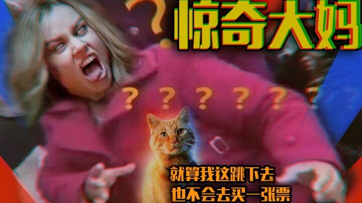 B站最沙雕方式打开【惊奇队长】选角差？这橘猫真香！