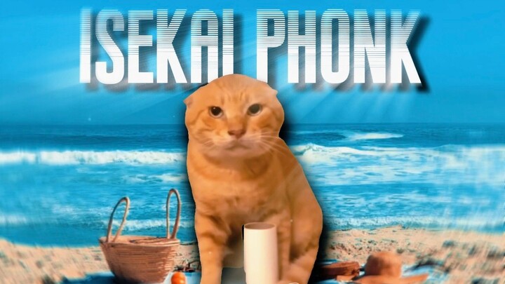 【Healing Hakimi】🐱Isekai Phonk🐱