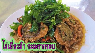 ไข่เยี่ยวม้า กะเพรากรอบ วิธีทอดกะเพราให้กรอบ #บ้านเราสตอรี่